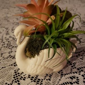 Succulent Faux Plant in Swan Planter.